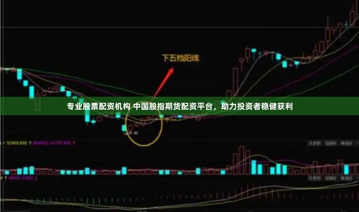 专业股票配资机构 中国股指期货配资平台，助力投资者稳健获利