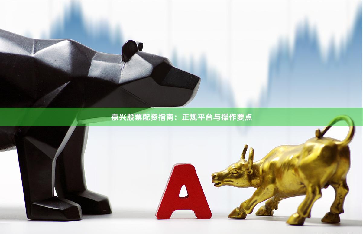 嘉兴股票配资指南:正规平台与操作要点