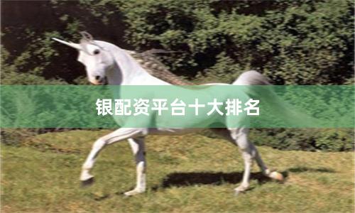 银配资平台十大排名