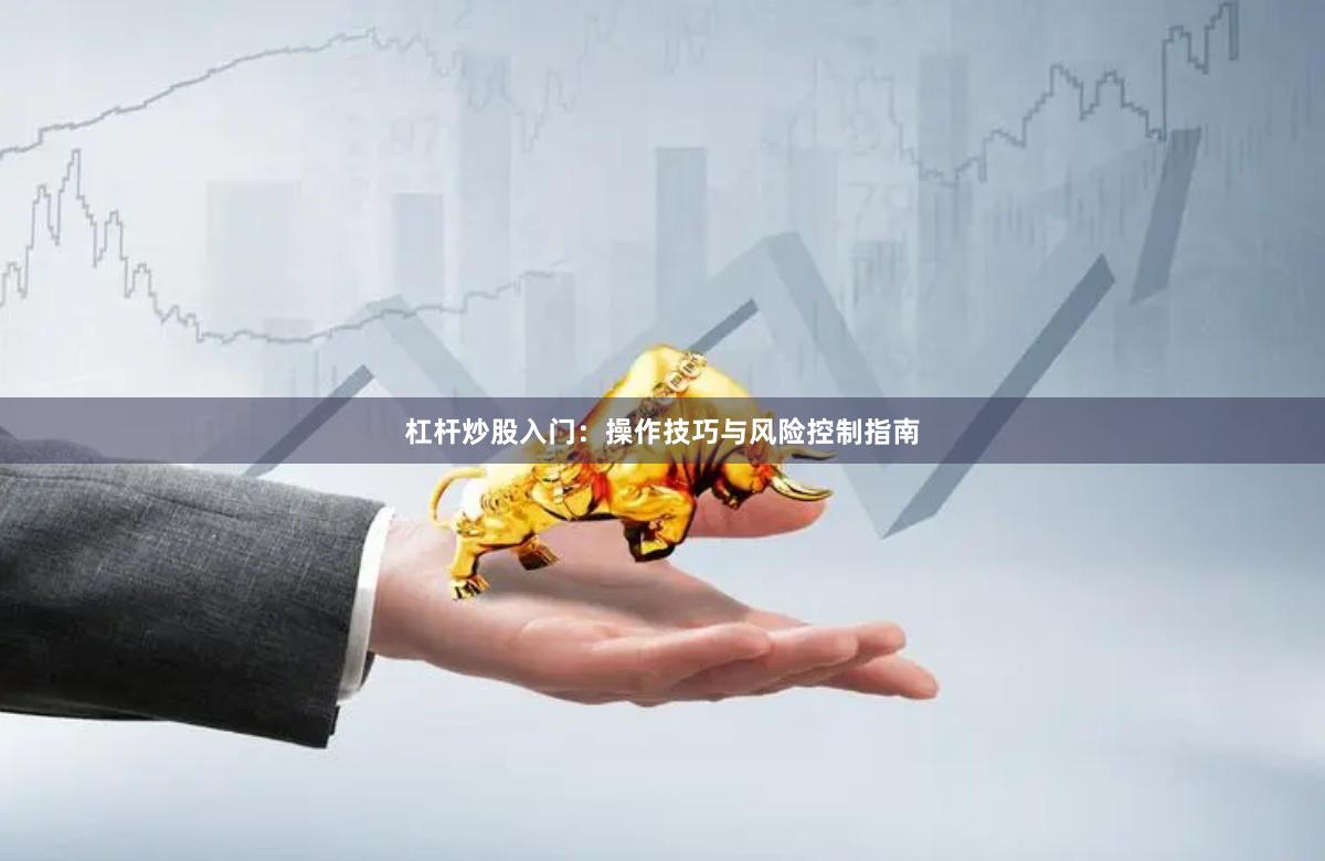 杠杆炒股入门：操作技巧与风险控制指南