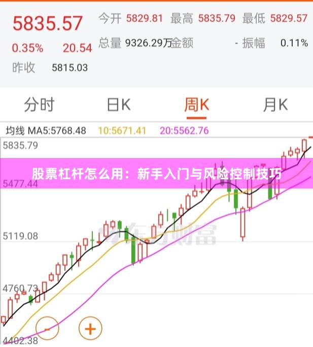 股票杠杆怎么用：新手入门与风险控制技巧
