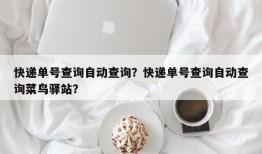 快递单号查询自动查询？快递单号查询自动查询菜鸟驿站？