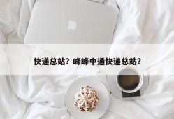 快递总站？峰峰中通快递总站？