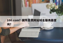 100.com？国外免费网站域名服务器查询？