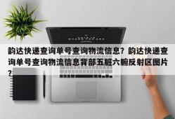 韵达快递查询单号查询物流信息？韵达快递查询单号查询物流信息背部五脏六腑反射区图片？