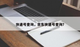 快递号查询，京东快递号查询？