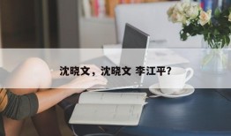 沈晓文，沈晓文 李江平？